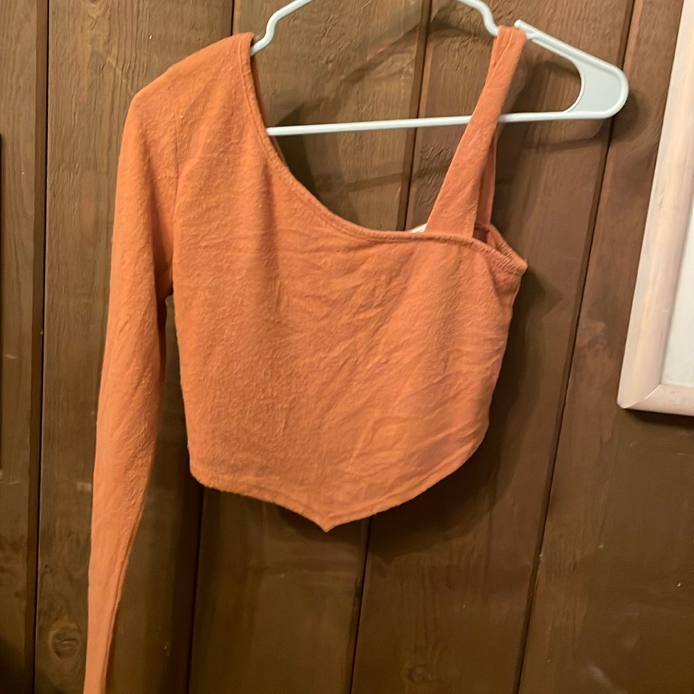 Brown Crop Top Long Sleeve